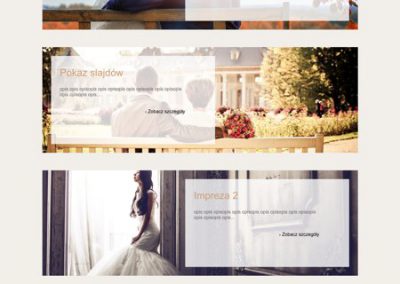 strona internetowa Młyna